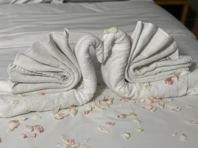 Hotel Bentley Schaerbeek Dış mekan fotoğraf
